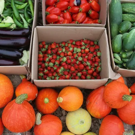 Agroturismo Lavender Hill, Eko & Wellness *