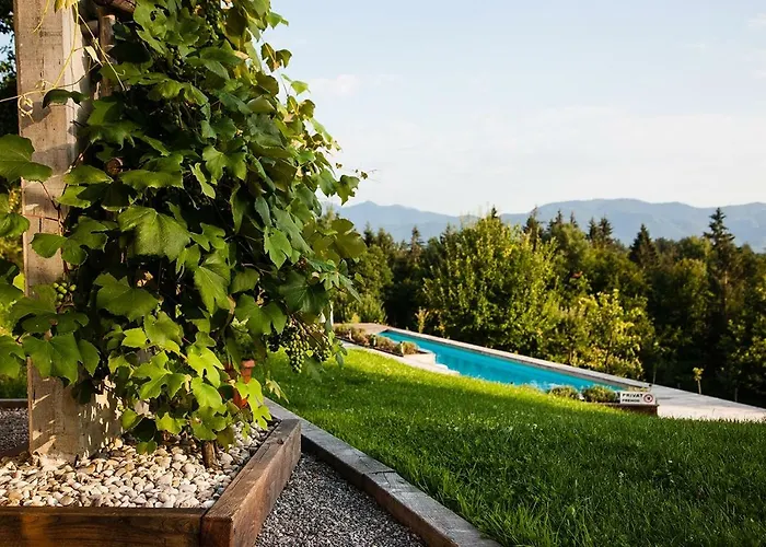 Alojamento de Turismo Rural Lavender Hill, Eko & Wellness