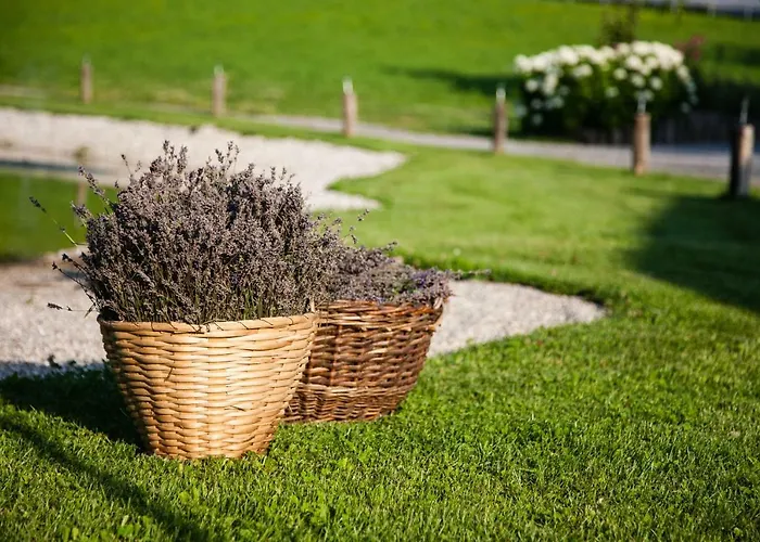 Lavender Hill, Eko & Wellness Farmház