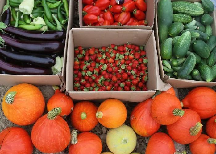 Vakantieboerderij Lavender Hill, Eko & Wellness *